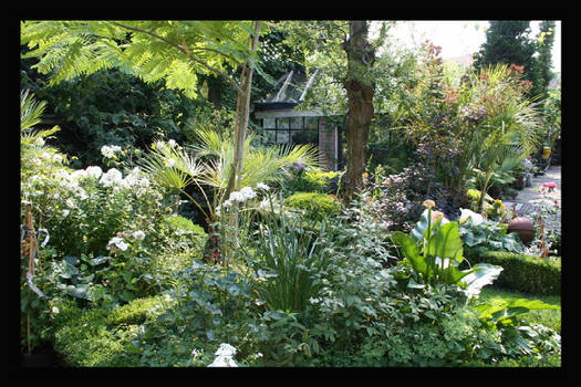 Tropical Garden