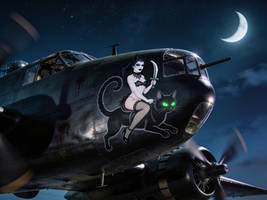 The Night Witches squadron