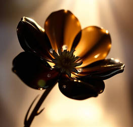 The Divine Darkness Flower