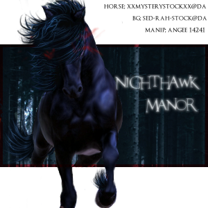 Nighthawk Avatar