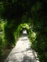 Path way