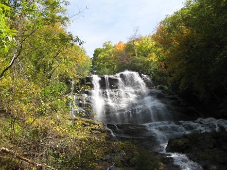 Waterfall of the forest