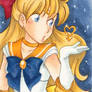 Sketch Cards - Sailor Venus