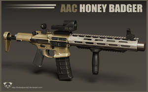 AAC Honey Badger Rifle 2