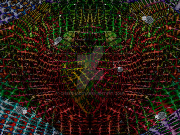 Spider View Strnth spiderview by onesshadow on DeviantArt