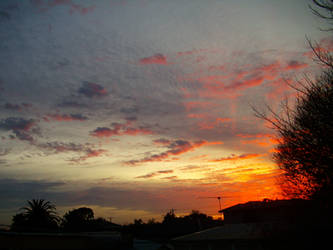 Sunrise in the Suburbs of Melbourne 2