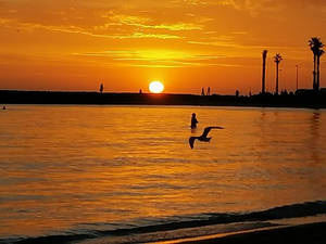 Sunset at Williamstown Beach