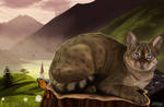 The Village Cat by petanimalia
