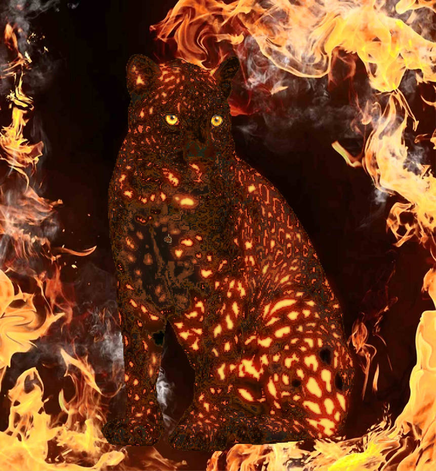 Leopard Firey Fire Leopard copy by Leopardflamewrecker on DeviantArt