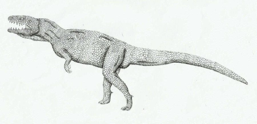 Edmarka by apexpredator7 on DeviantArt