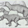 The Transition of Spinosaurus