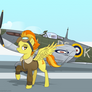 Spitfire and the spitfire