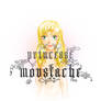 Princesse-Moustache-1
