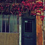 Autumn Covered Door