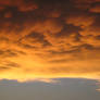 Mammatus Clouds II