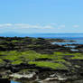 Rocky Shore