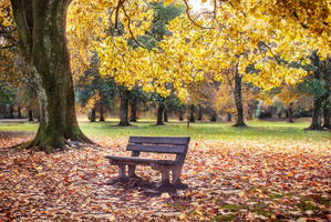 Park bench