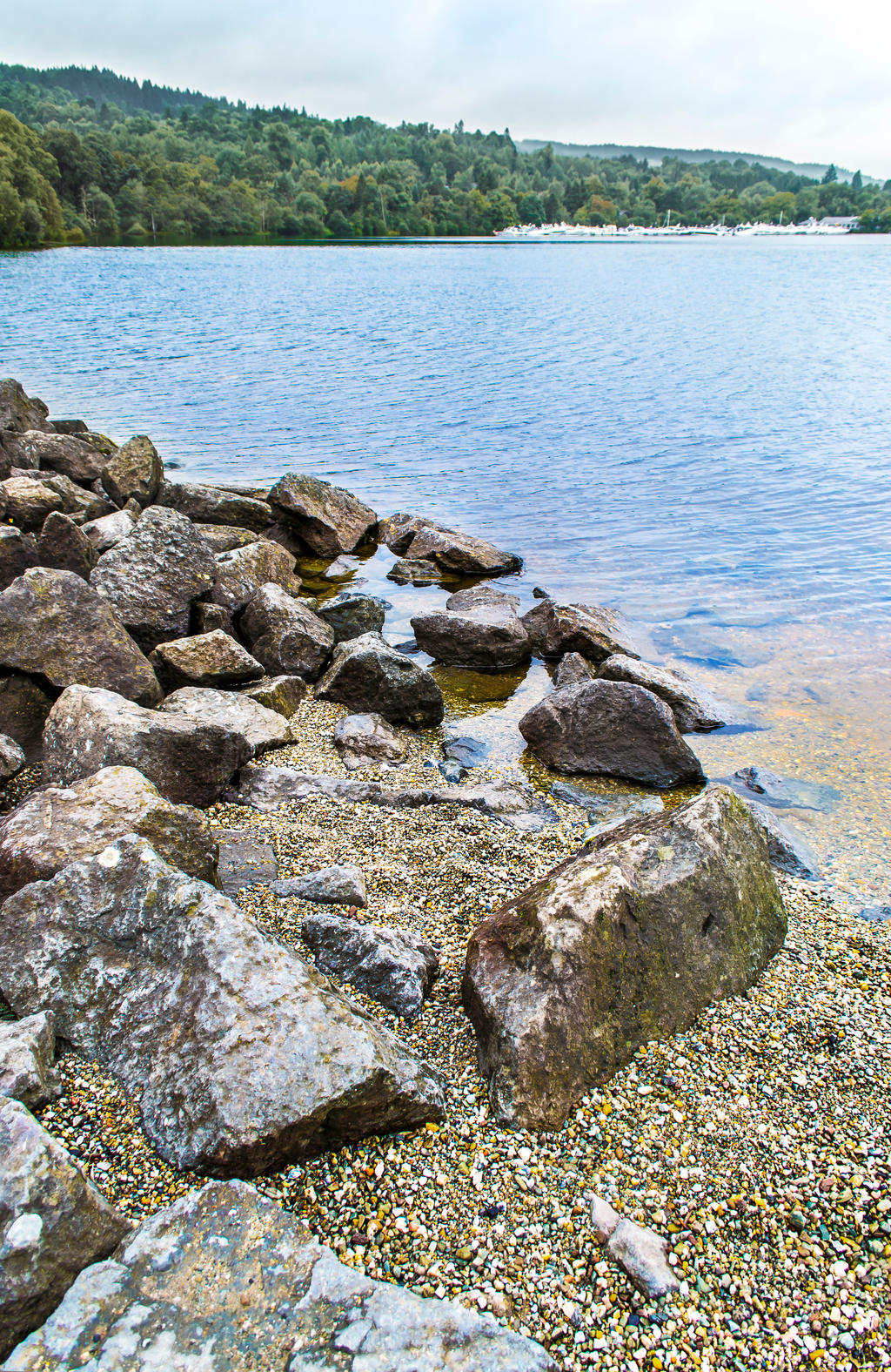 Pebble Shore
