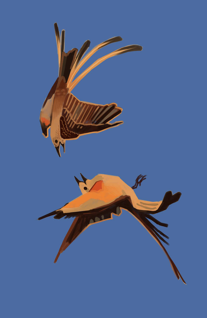 Flutter Bee Deviantart Flutter by ZmyslonaSzczezuja on DeviantArt