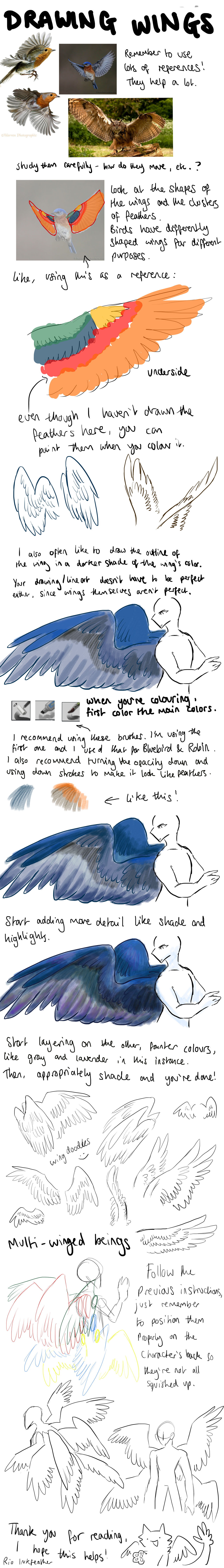 Feathered Wings Tutorial By InkFeatherSketches On DeviantArt feathered-wings-tutorial-by-inkfeathersketches-on-deviantart