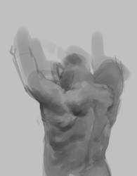 anatomystudy