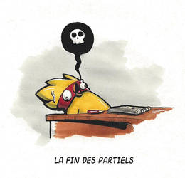 Fin des Partiels