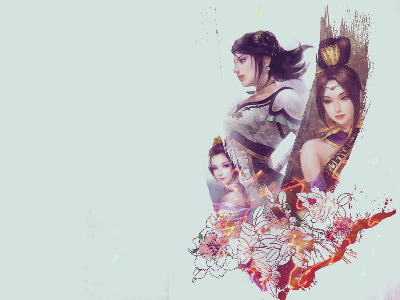 Dynasty Warriors Wall