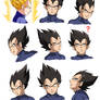 Oujisama no Faces - Vegeta