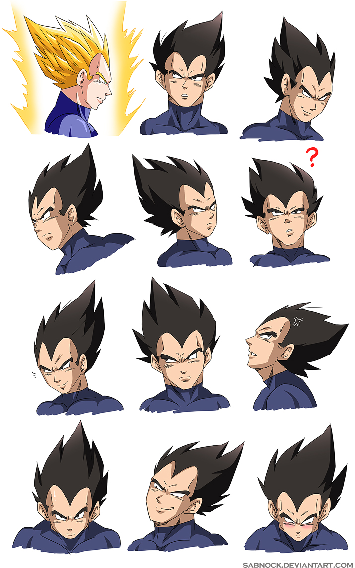 Oujisama no Faces - Vegeta