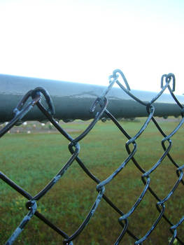 Raindrops drop off fence