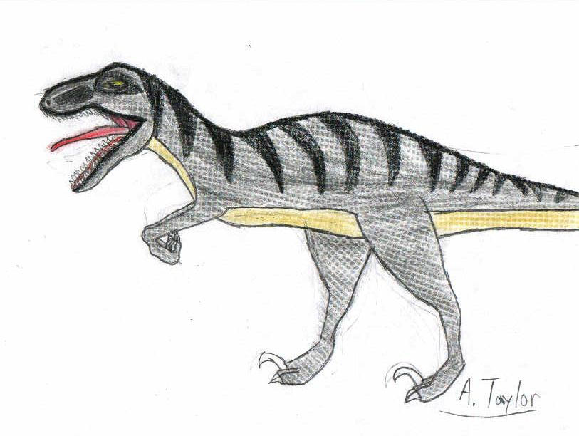 Old Raptor Pic by AGreyLizard on DeviantArt