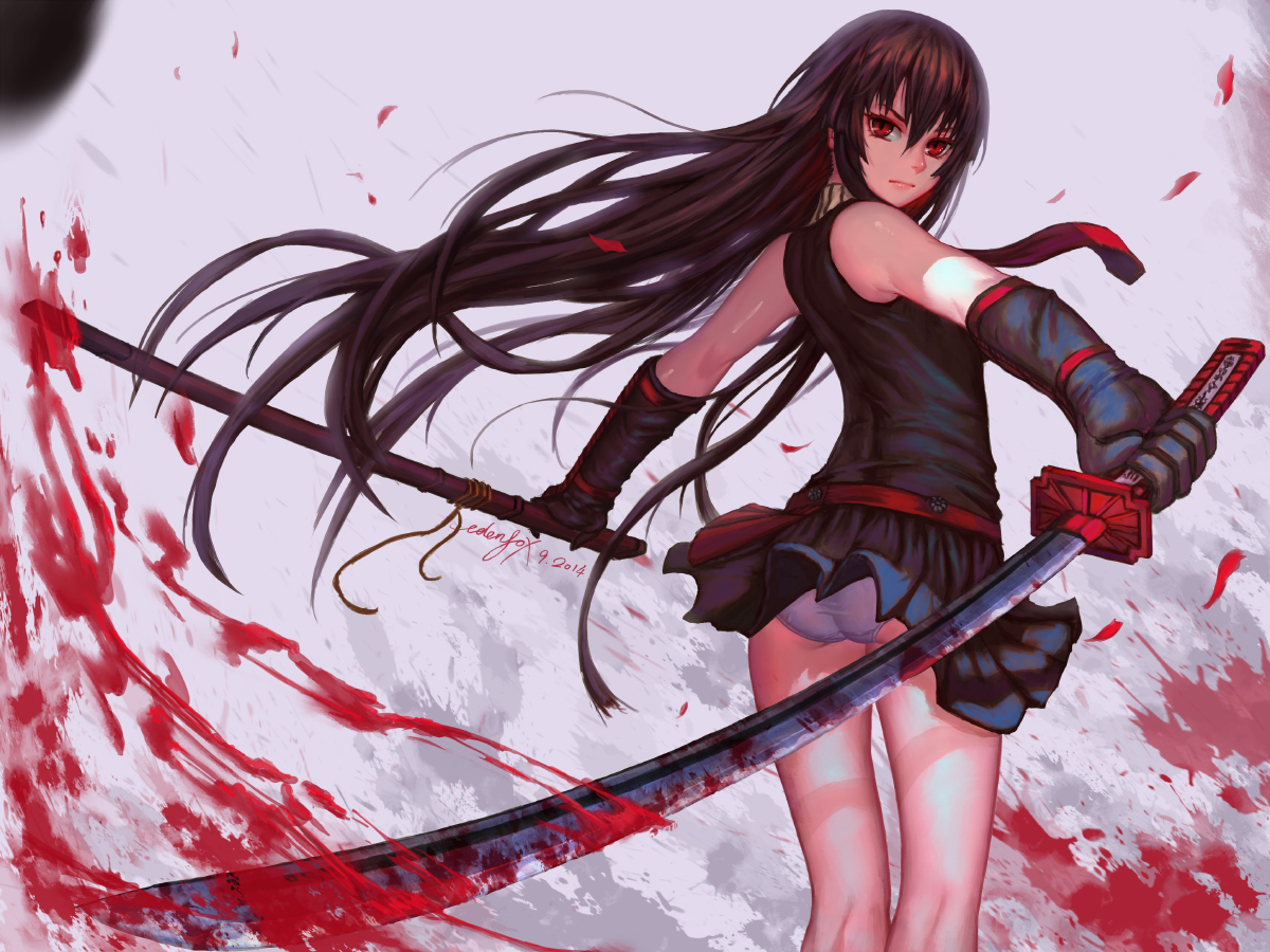 Akame~Akame ga Kill Zero  Anime warrior girl, Anime warrior