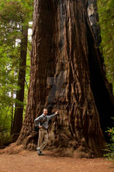 Me and a Redwood