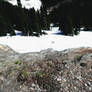 Rainer National Park Trip 5