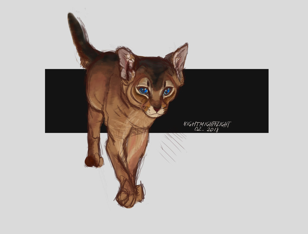 Abyssinian Gui Abyssinian by nightmflight on DeviantArt