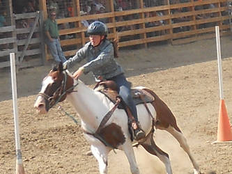 Rodeo 2012: 27