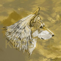 Mexican Wolf HS1 by furocious-studios