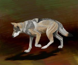 Wolf Sequence 001b by furocious-studios