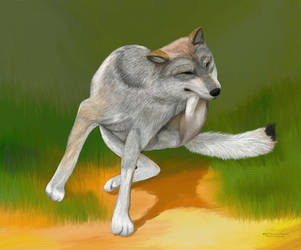 Wolf Sequence 003 by furocious-studios