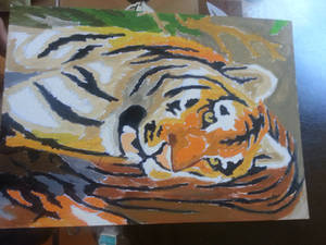 Paint by number : Tiger