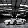 White Lamborghini Superleggera