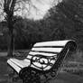 Dublin - Phoenix Park Bench