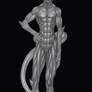 Dijar Tarh - Full body display