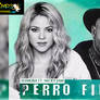 Shakira perro fiel mp3 Song download