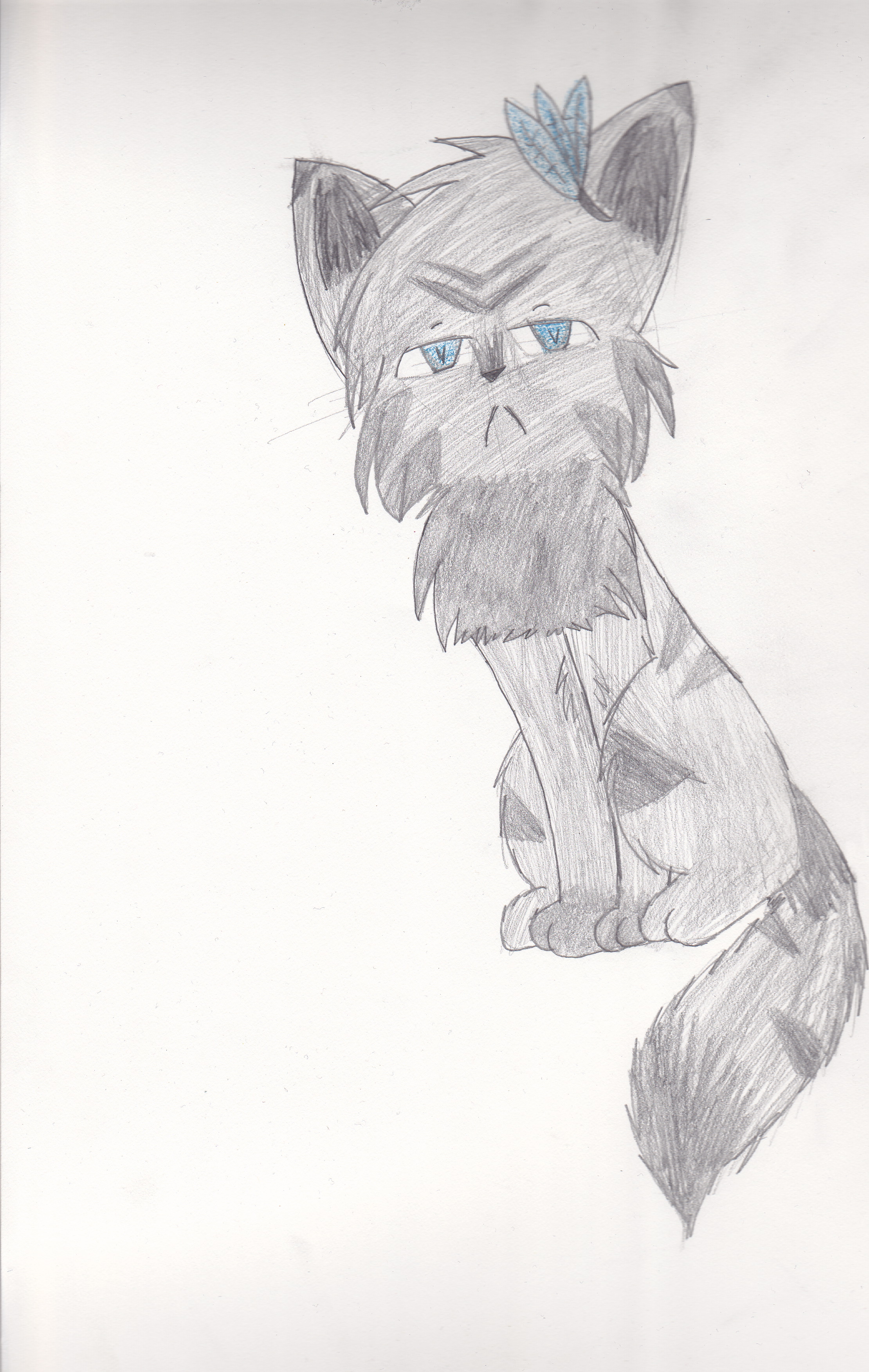 Traditional Jayfeather