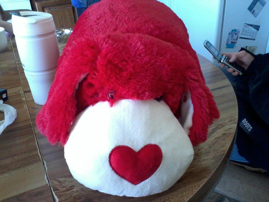 Valentine's Puppy