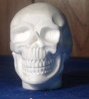 Final Skull Sculpt