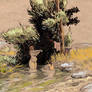 Arnold Bocklin study