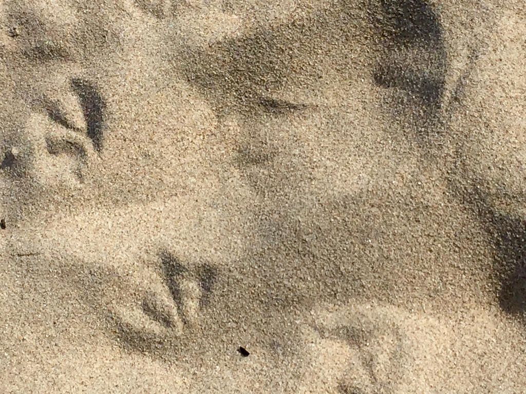 Sand #5 by AltoClef768 on DeviantArt