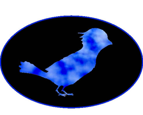 Blue bird